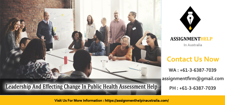 PUBH6004 Leadership And Effecting Change In Public Health Assessment 2