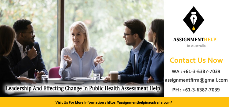 PUBH6004 Leadership And Effecting Change In Public Health Assessment 2